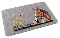 horse paard